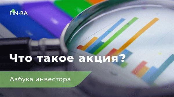 Какие данные указываются в выписке