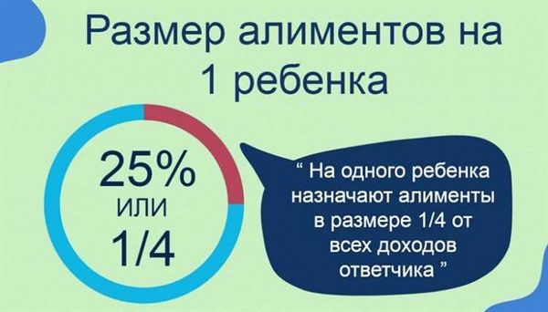 Размер госпошлины на алименты в 2024 году