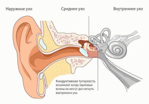 Документы, необходимые для прохождения переосвидетельствования