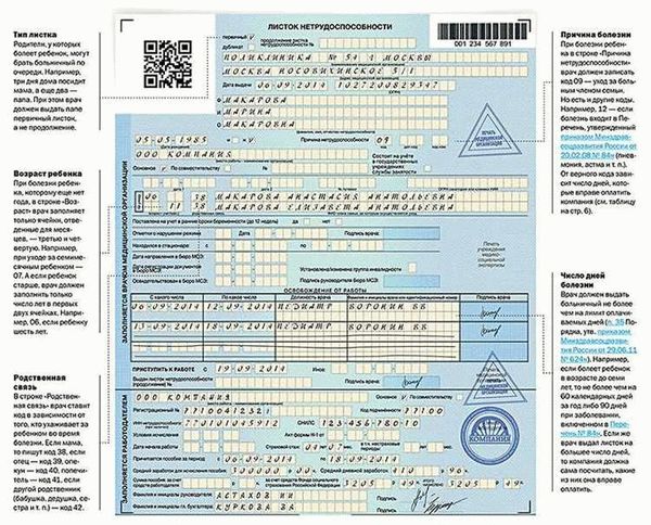 Неправильное заполнение больничного листа: ответственность