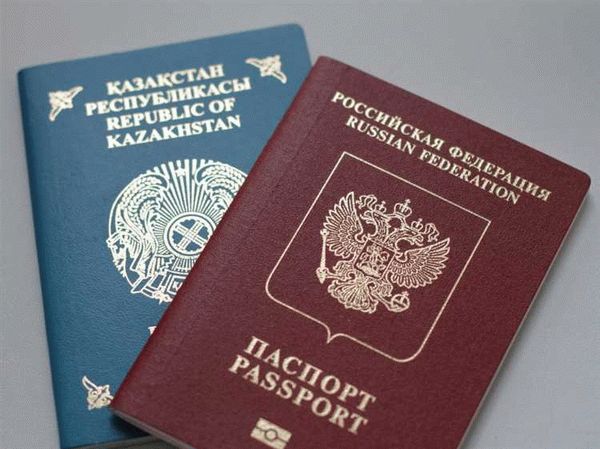 Требования к подаче документов на гражданство РФ