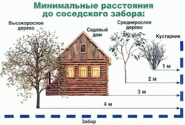 Правила высоты забора между соседями на участке