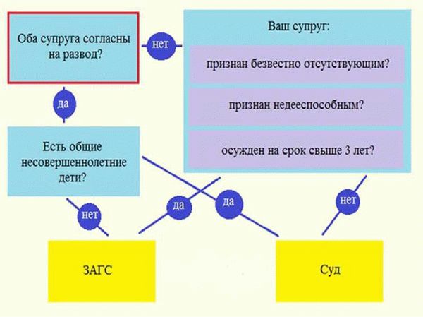 Возможен ли быстрый развод в ЗАГСе за один день?