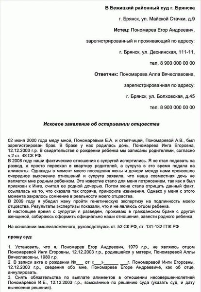 Отцовство: порядок установления по статье 49 СК РФ