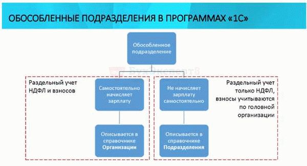 Новые правила страховых взносов с отпускных в 2024 году