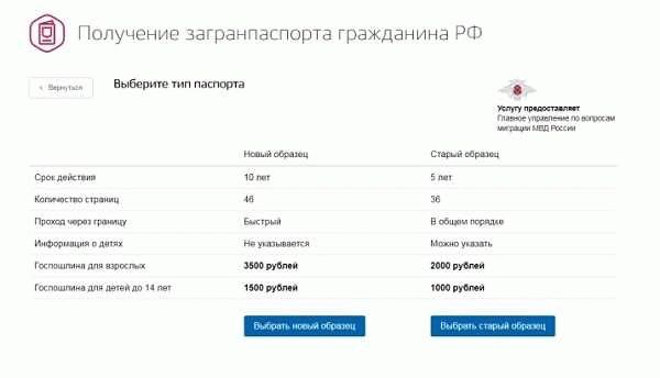 Полезные советы для успешной замены загранпаспорта