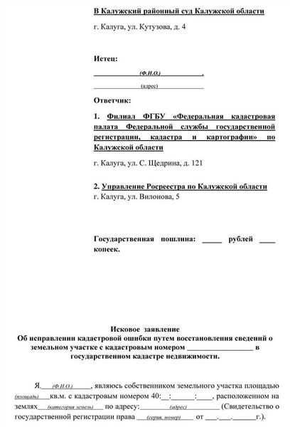 Есть ли отличия в исправлении ошибок для арбитражного суда?